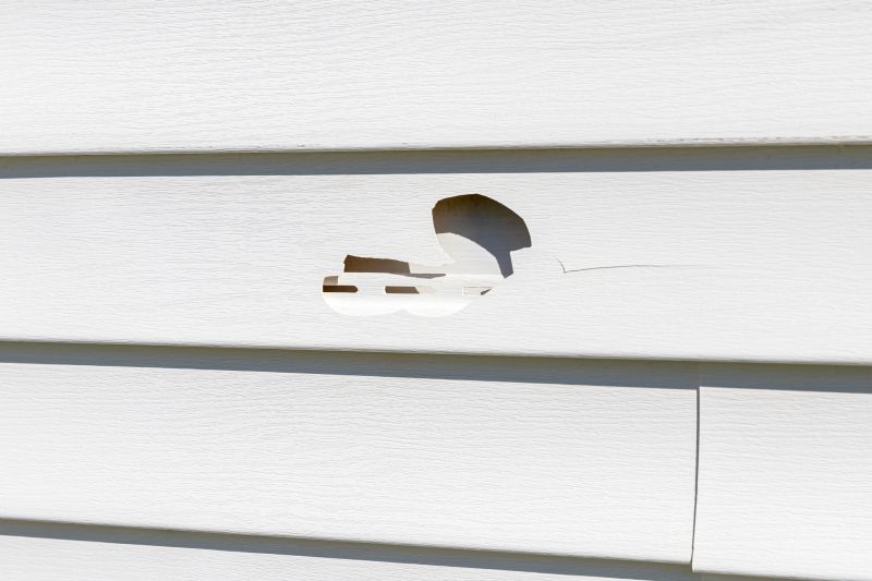 Quality Vinyl Siding Fixes